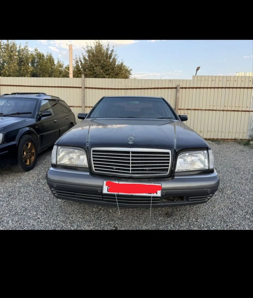 Mercedes-Benz S-Class: 1996 г., 5 л, Автомат, Бензин, Седан: фото 1