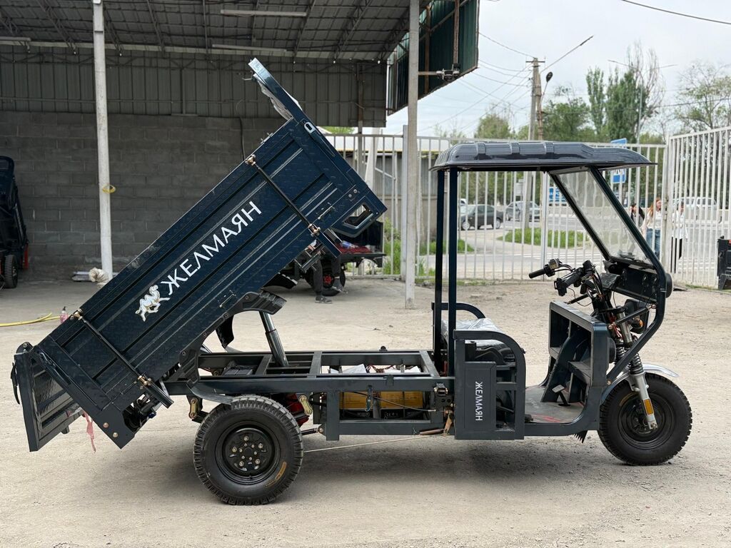 Мотороллер муравей Электро, 50 км, 1500 кг и более, Новый: фото 6