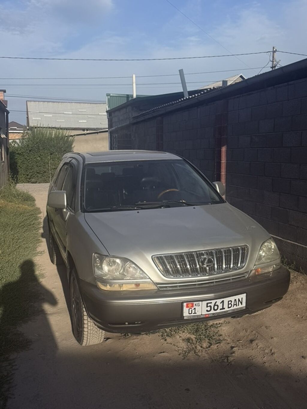 Lexus RX: 2001 г., 3 л, Автомат, Бензин, Кроссовер: фото 7