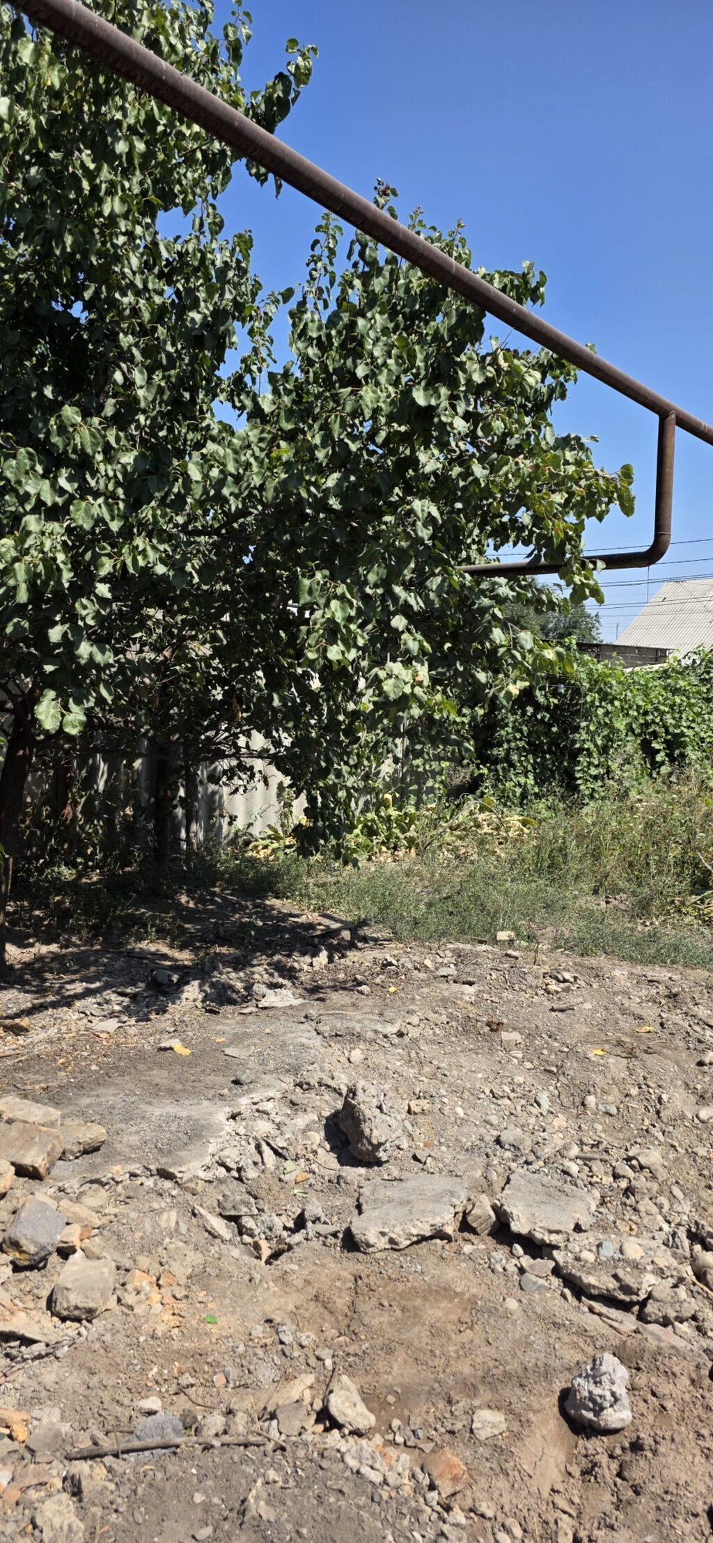 2 соток, Для строительства, Красная книга, Договор купли-продажи: фото 3