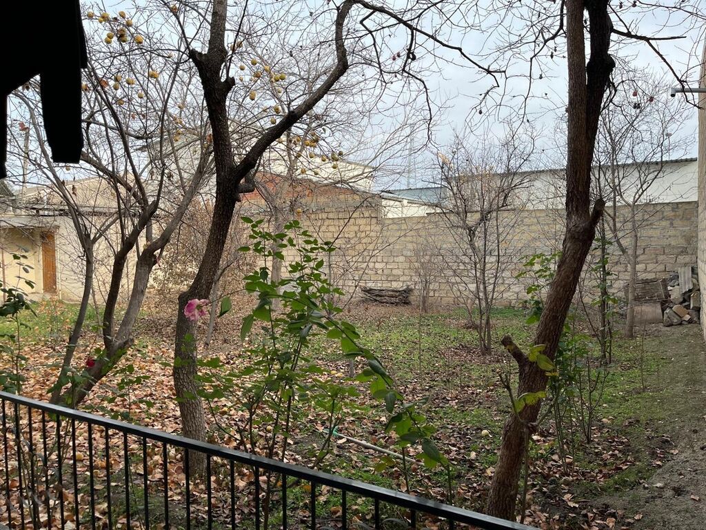 2 sot, Tikinti, Mülkiyyətçi, Kupça (Çıxarış)