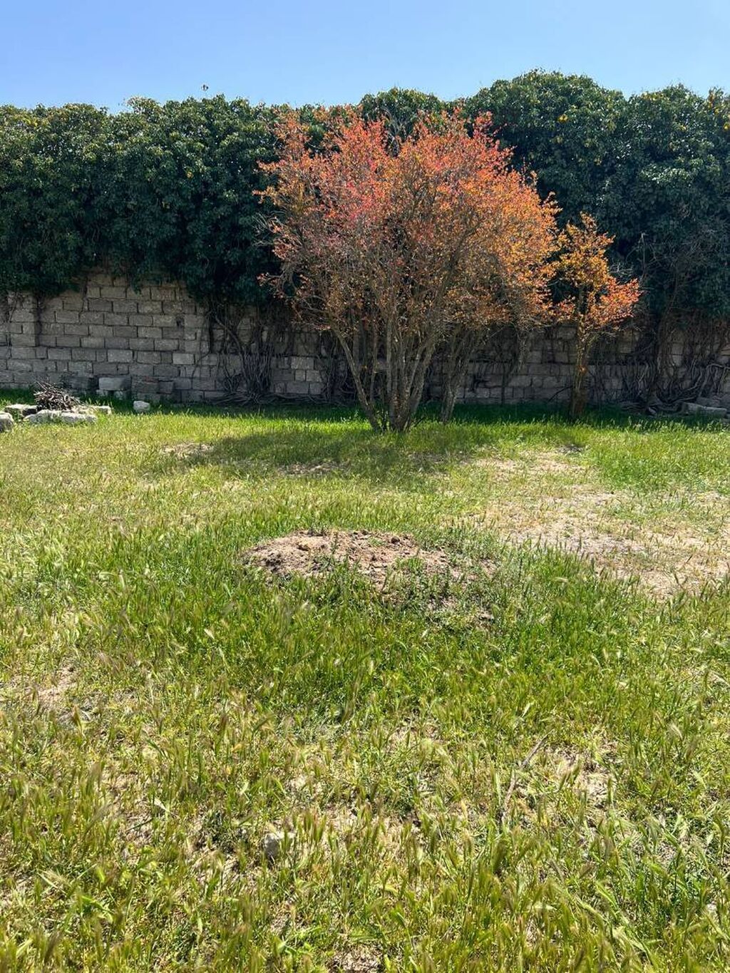 Nizami rayonu keslə qəsəbəsi sadig heyət evi