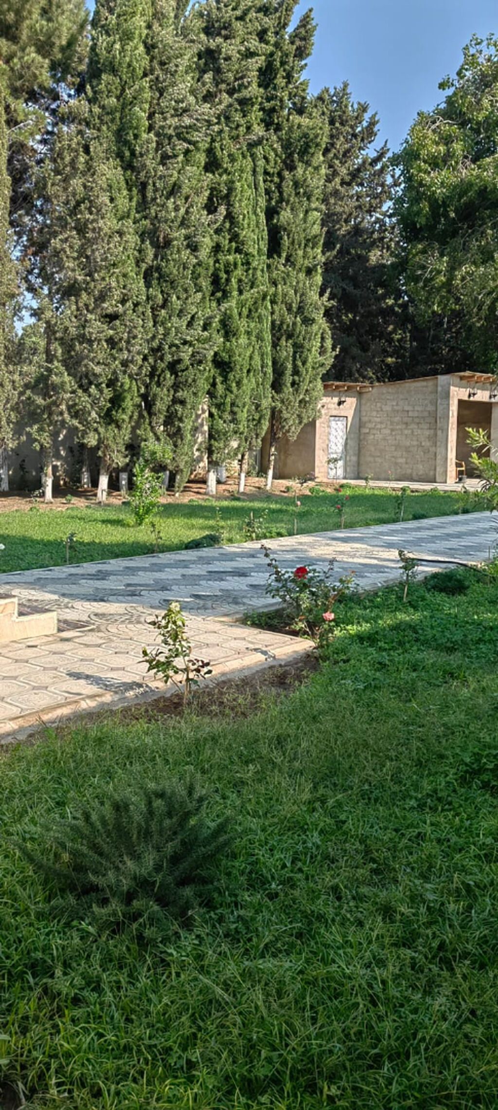 Bağ evi, 3 otaqlı, 134 m², icarəyə verilir, Bakı — 14