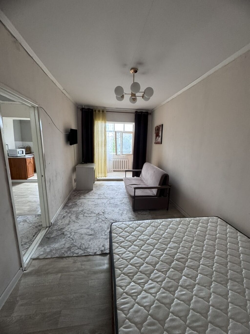 1 комната, 43 м², Индивидуалка, 4 этаж: фото 6