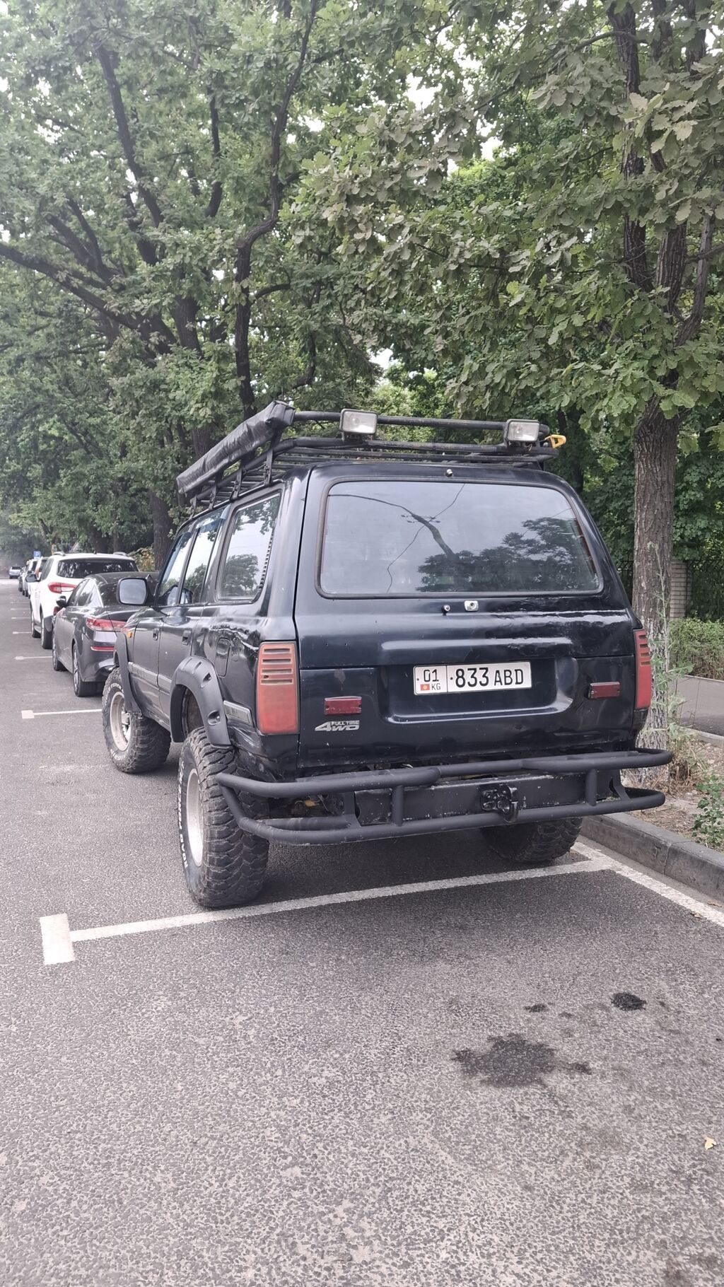 Toyota Land Cruiser: 1994 г., 4.2 л, Автомат, Дизель, Внедорожник: фото 4