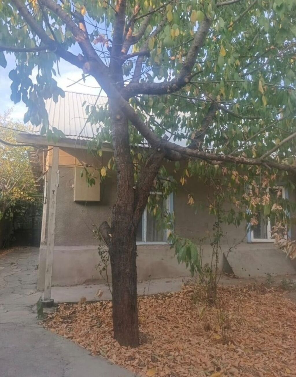 3 комнаты, 75 м², Бишкек, Мадина: фото 4