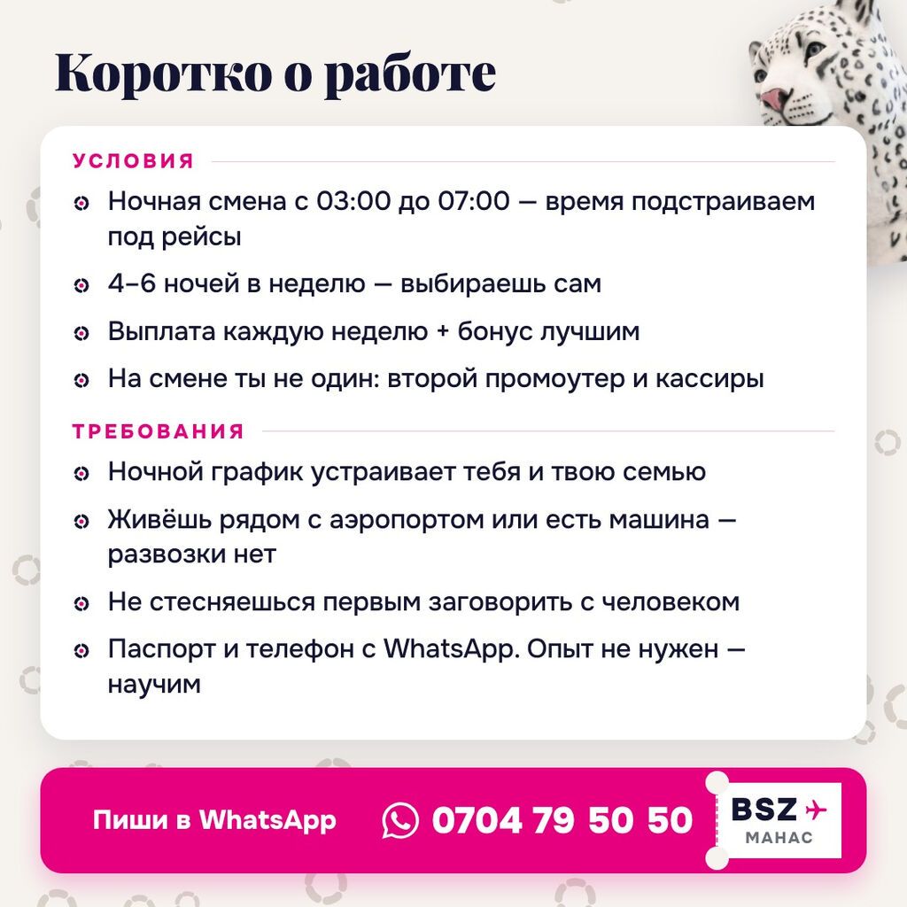 Требуется промоутер в аэропорт «Манас» на ночь, с 03:00 до 07:00: фото 2