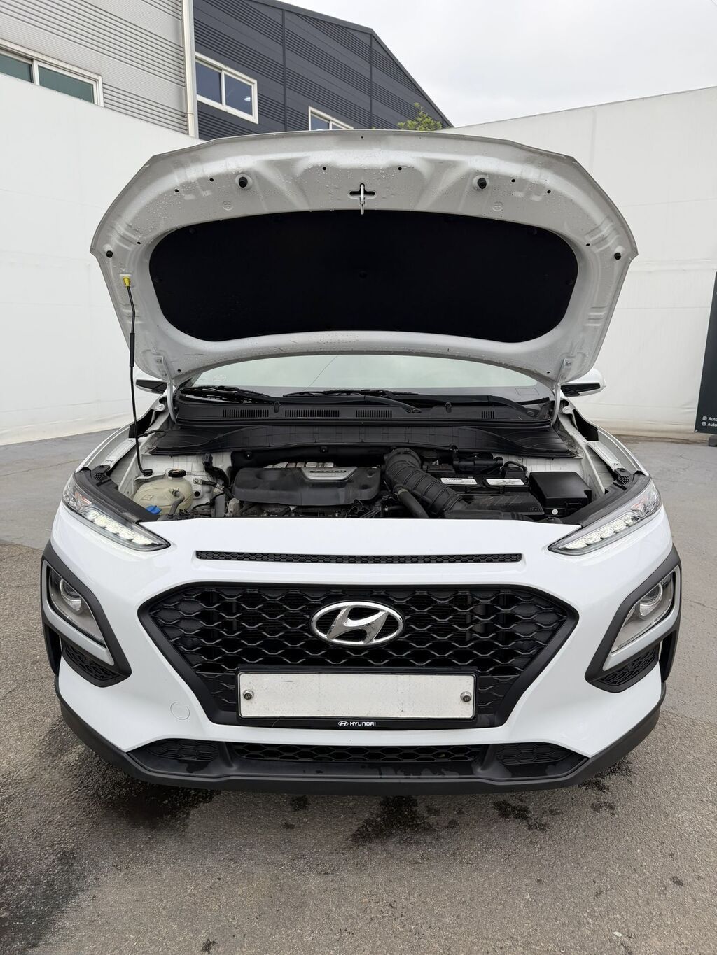 Hyundai Kona: 2019 г., 1.6 л, Автомат, Бензин, Внедорожник — фото 4