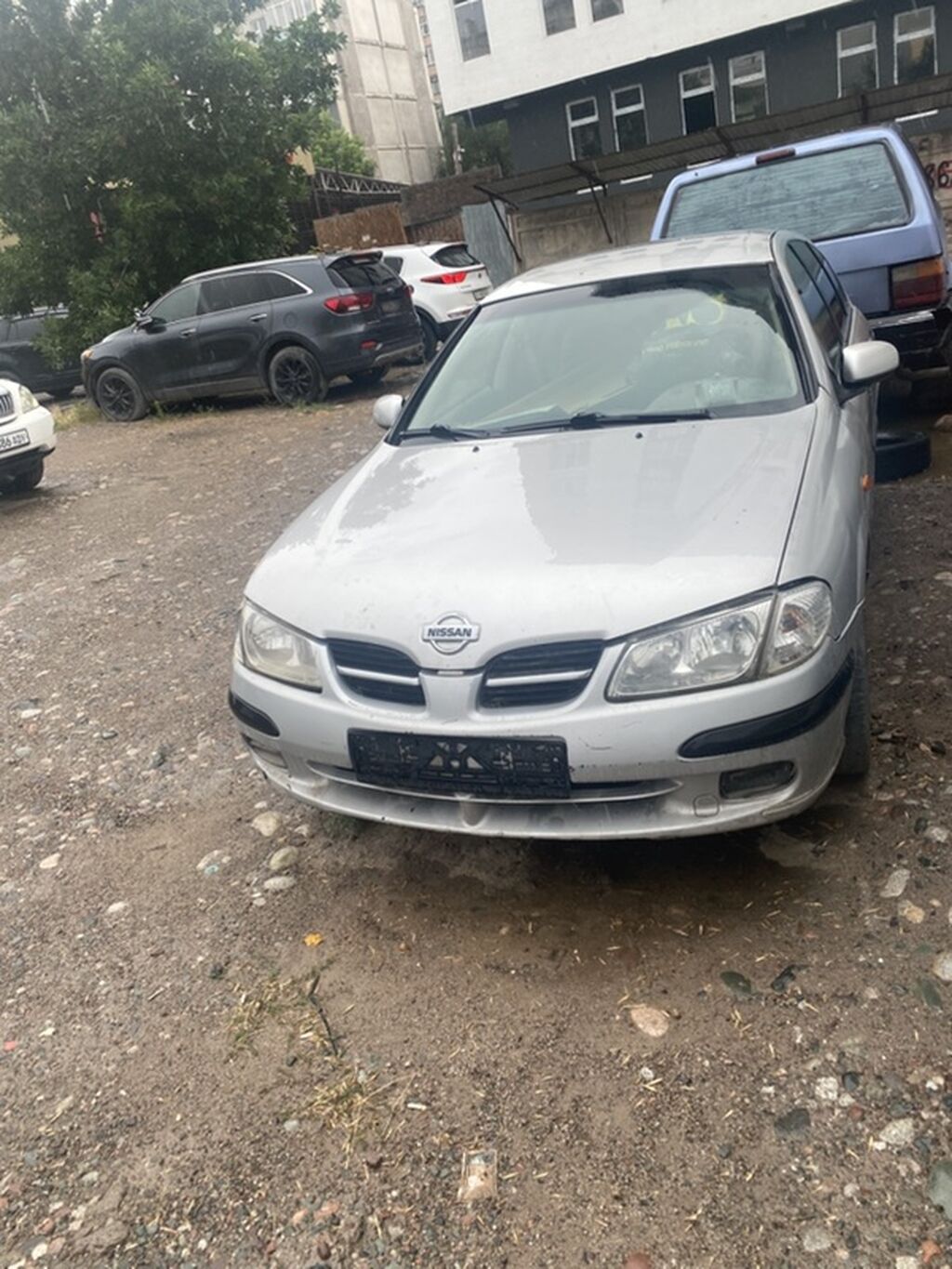 Nissan Almera: 2001 г., Бензин, Хэтчбэк: фото 1