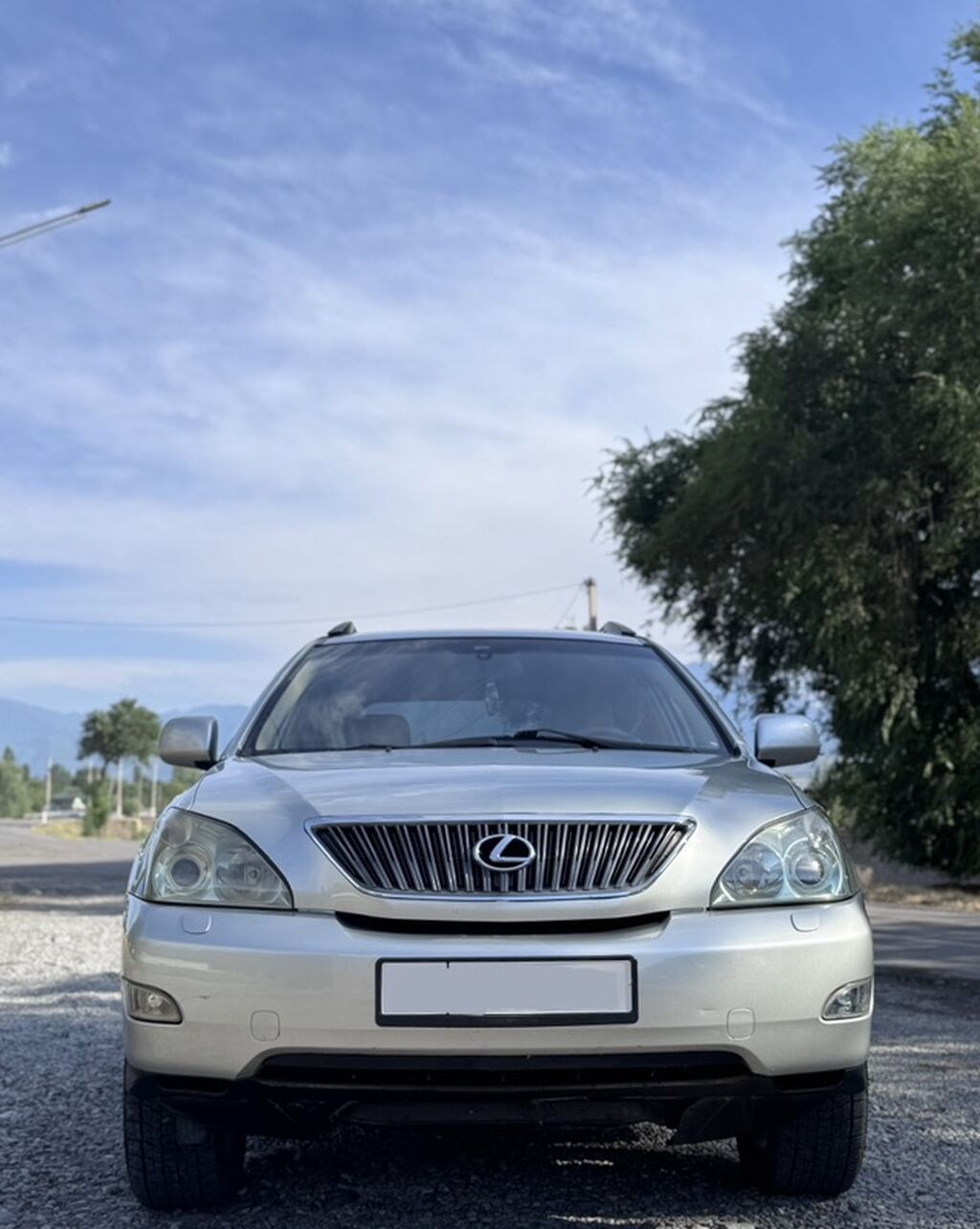 Lexus RX: 2004 г., 3 л, Автомат, Бензин, Кроссовер: фото 6