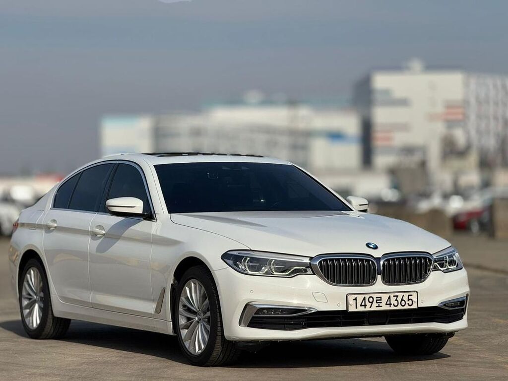 BMW 5 series: 2019 г., 2 л, Автомат, Бензин, Седан: фото 7