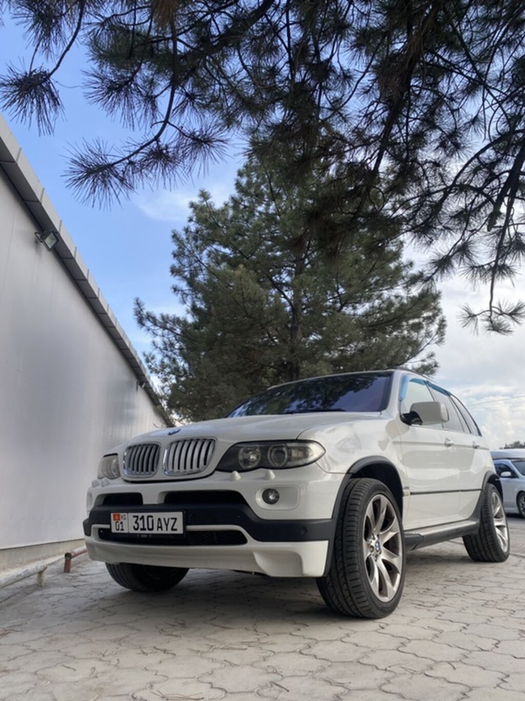 BMW X5: 2005 г., 4.8 л, Кроссовер: фото 4