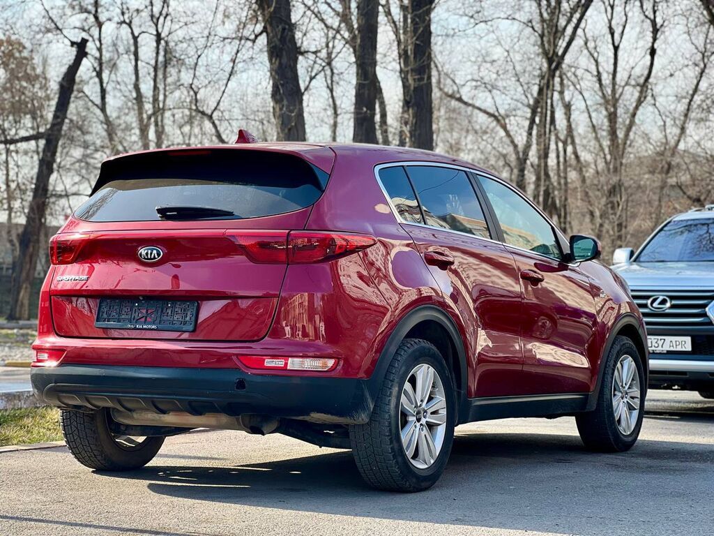 Kia Sportage: 2017 г., Автомат, Кроссовер — фото 2