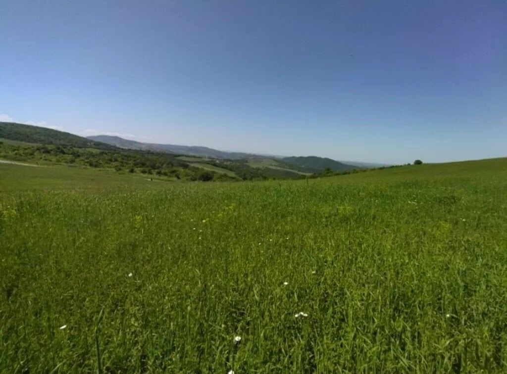 524 sot, Biznes üçün, Barter mümkündür, Kupça (Çıxarış)