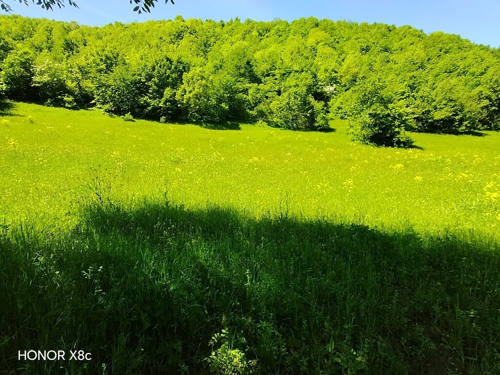21 sot, Tikinti, Mülkiyyətçi, Kupça (Çıxarış)