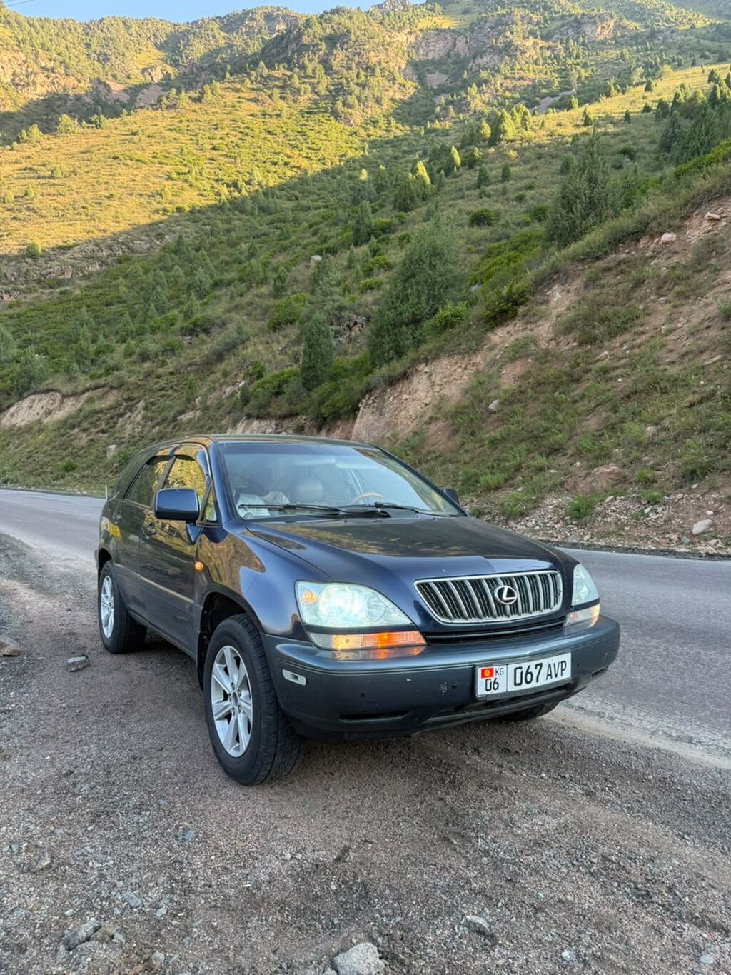 Lexus RX: 2000 г., 3 л, Автомат, Бензин, Кроссовер: фото 2