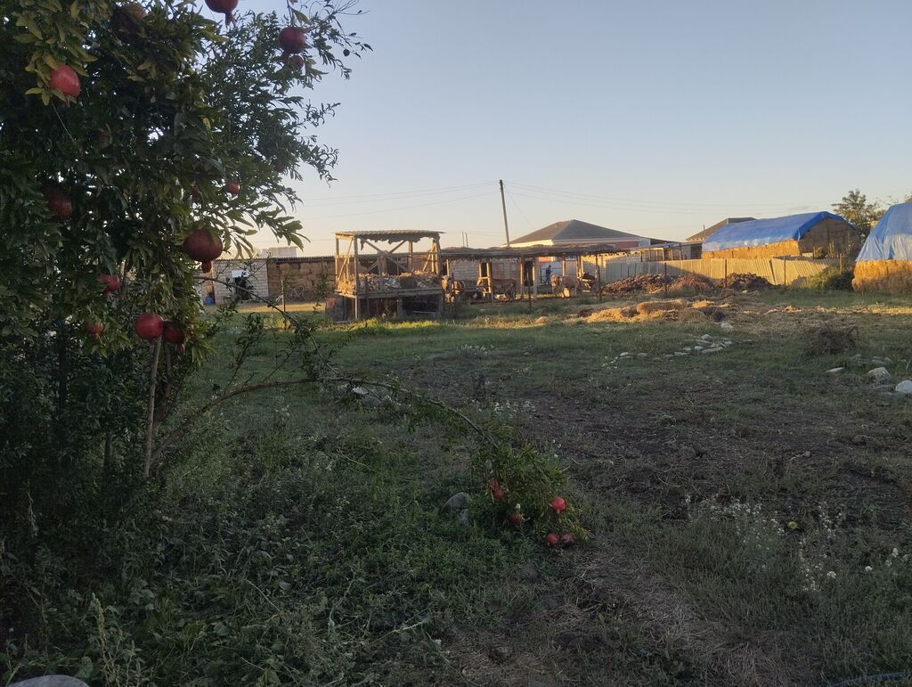 Xaçmaz, 663 kv. m, 4 otaqlı, Qaz, İşıq, Su