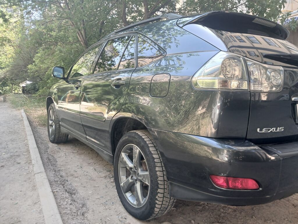 Lexus RX: 2003 г., 3 л, Автомат, Бензин, Кроссовер: фото 7