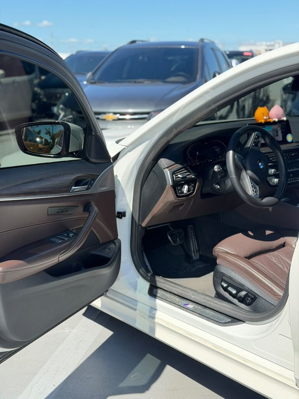 BMW 5 series: 2020 г., 2 л, Автомат, Дизель, Седан: фото 7