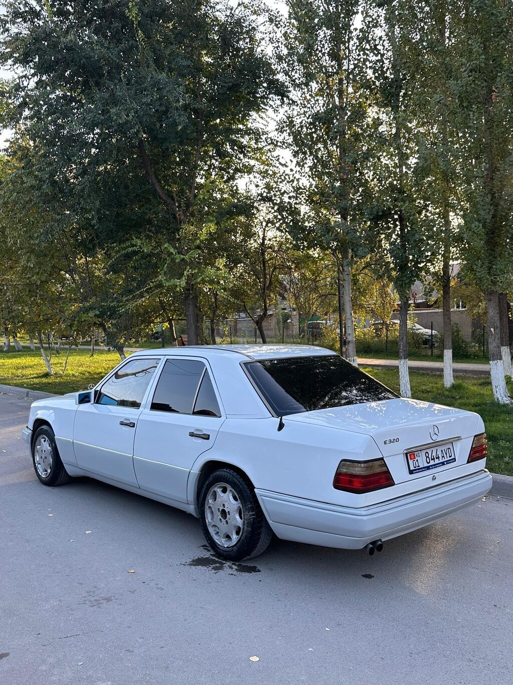 Mercedes-Benz E-Class: 1993 г., 3.2 л, Автомат, Бензин, Седан: фото 4