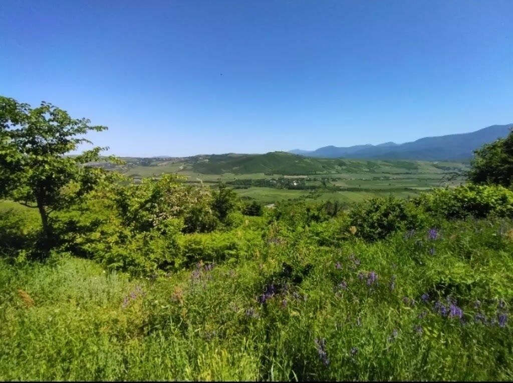 524 sot, Biznes üçün, Barter mümkündür, Kupça (Çıxarış)