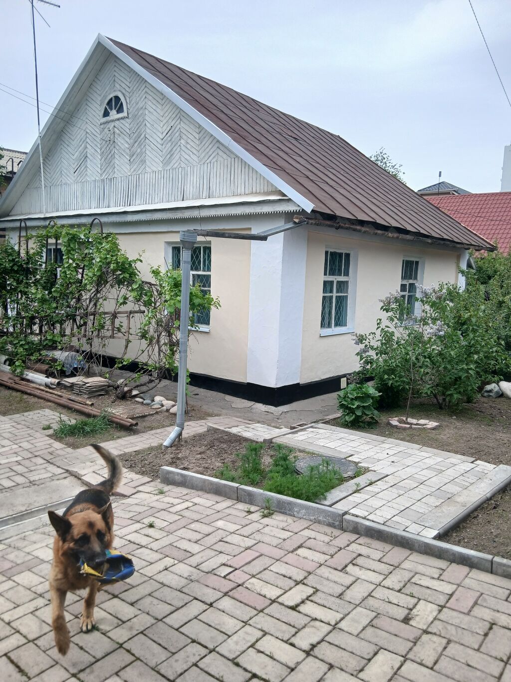 Продаю дом, можно под снос, участок 5 соток. Политех. Собственник: фото 6