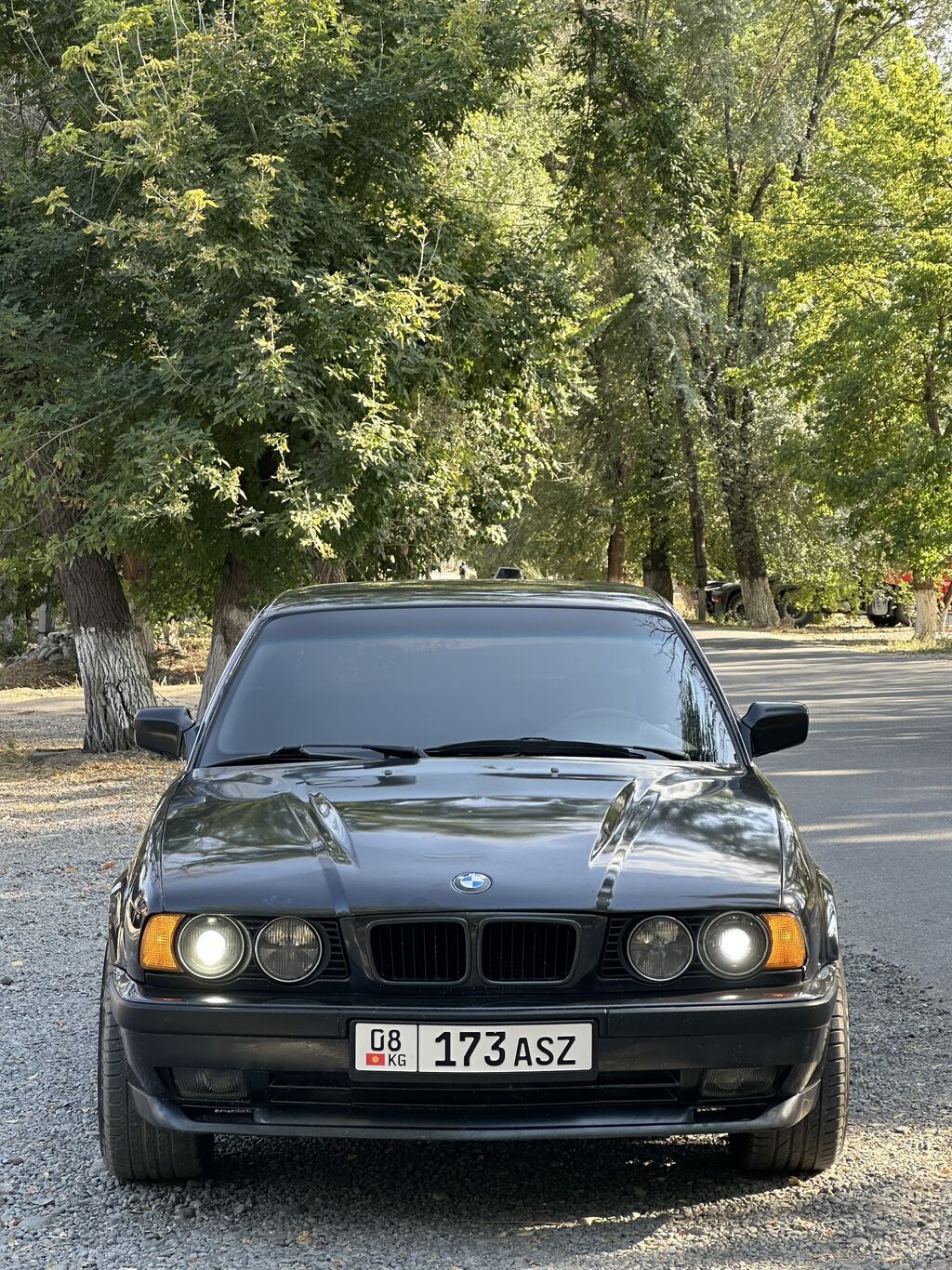 BMW 5 series: 1991 г., 4.6 л, Автомат, Бензин: фото 5