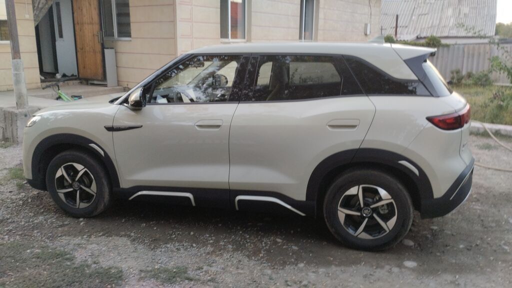 BYD Yuan Up: 2024 г., Кроссовер: фото 3