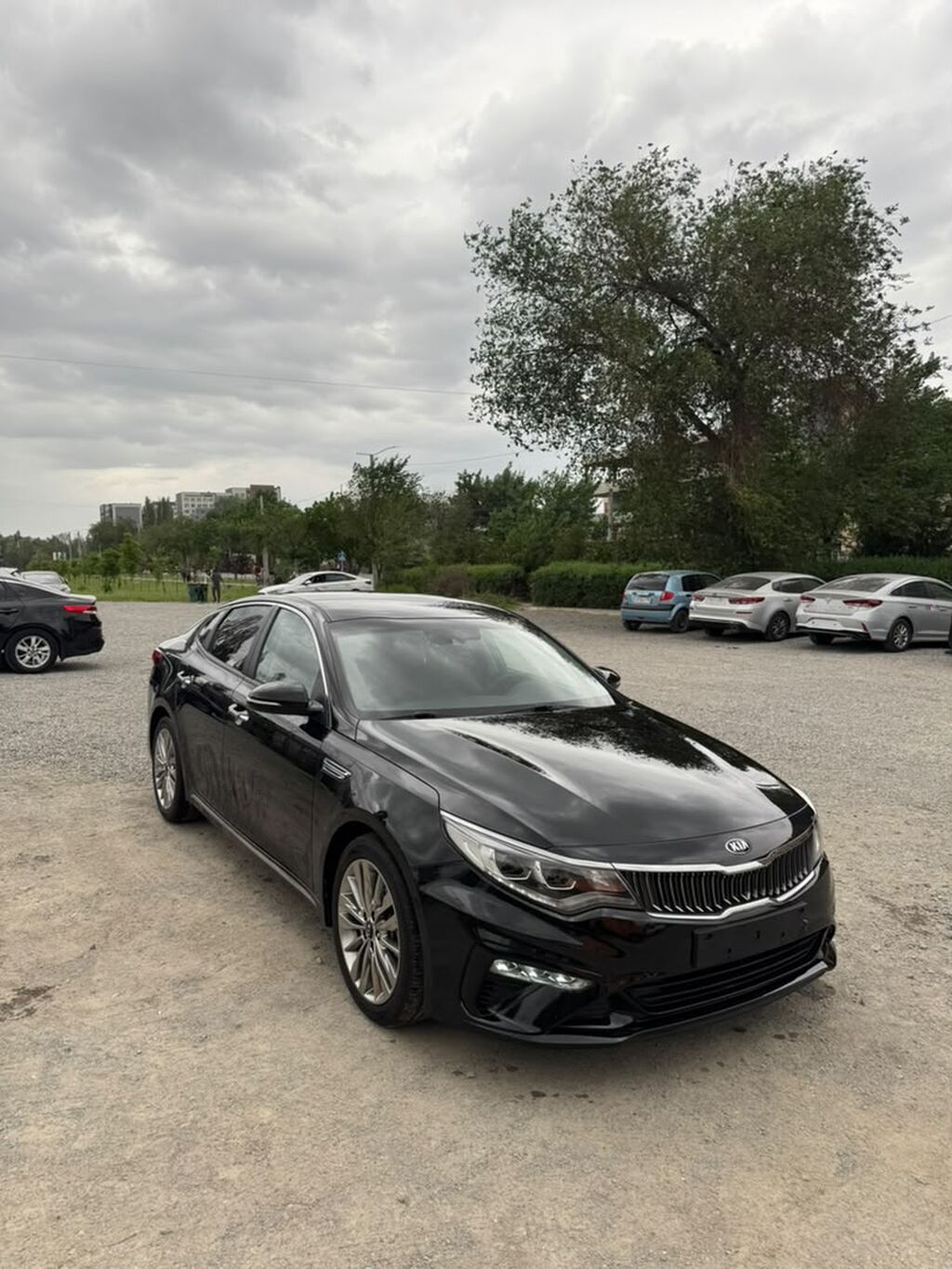 Kia K5: 2019 г., 2 л, Автомат, Бензин, Седан: фото 1