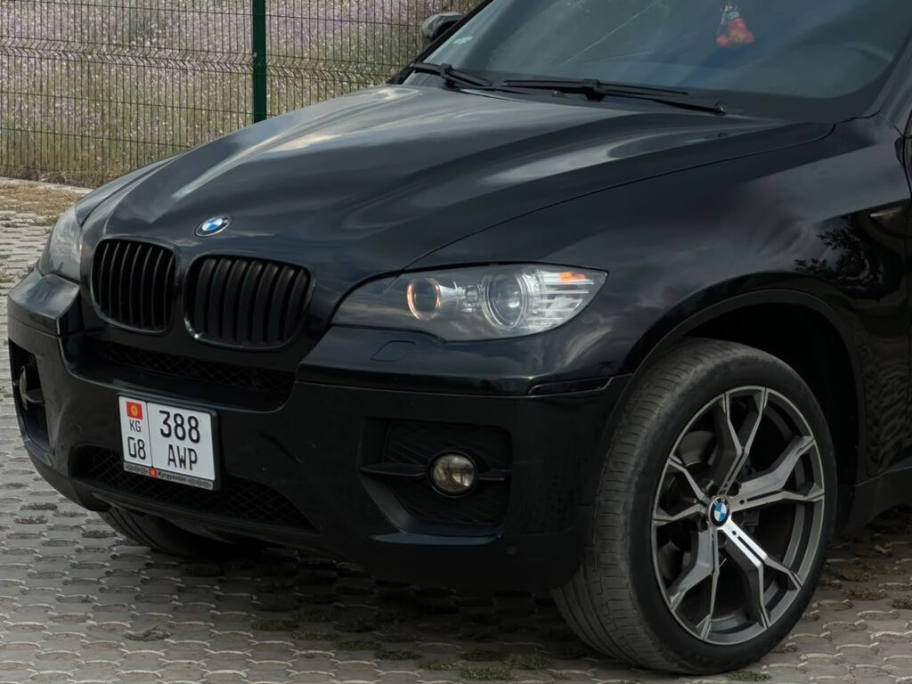 BMW X6: 2009 г., 3 л, Автомат, Бензин, Кроссовер: фото 3