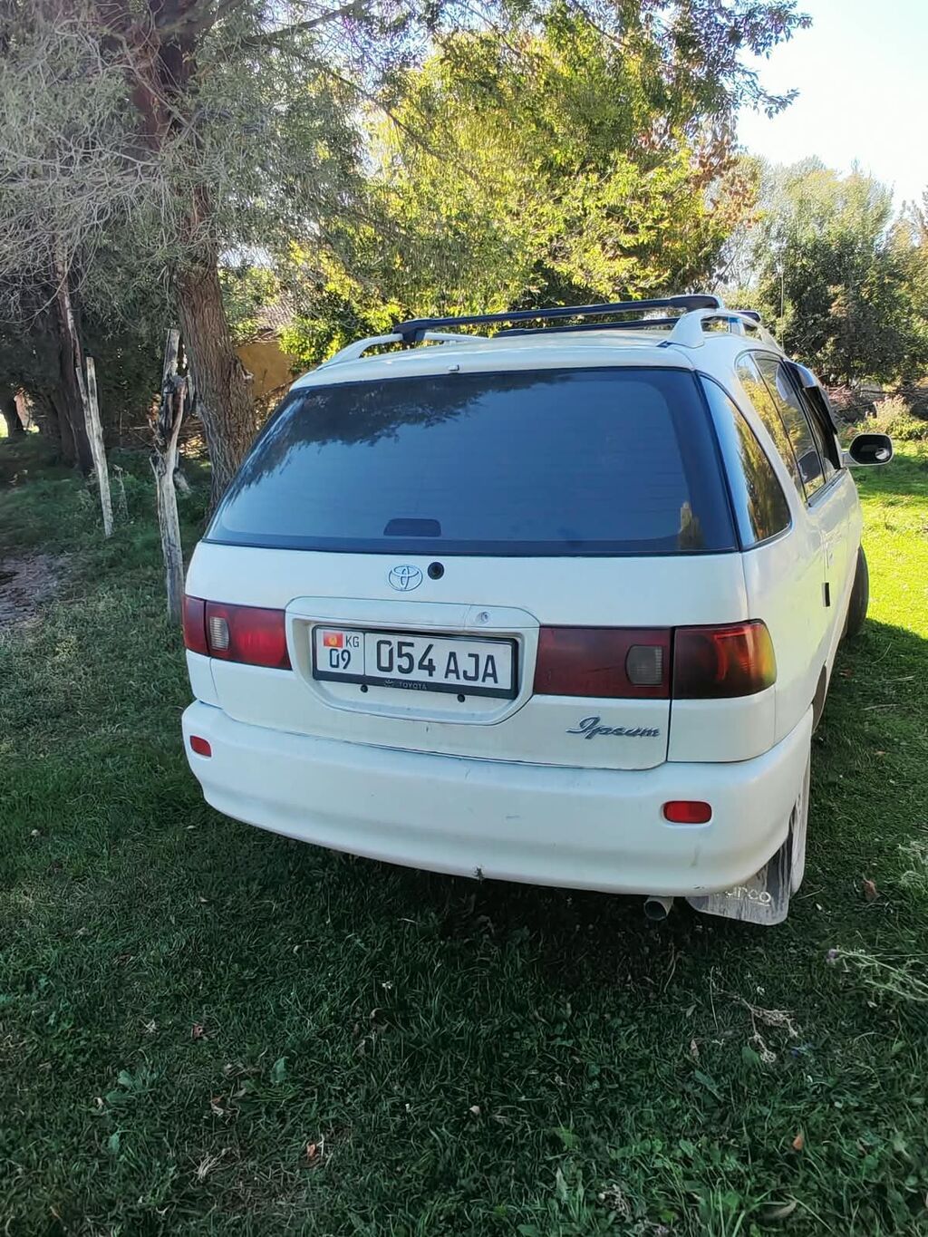 Toyota Ipsum: 2000 г., 2 л, Автомат, Газ, Минивэн: фото 2
