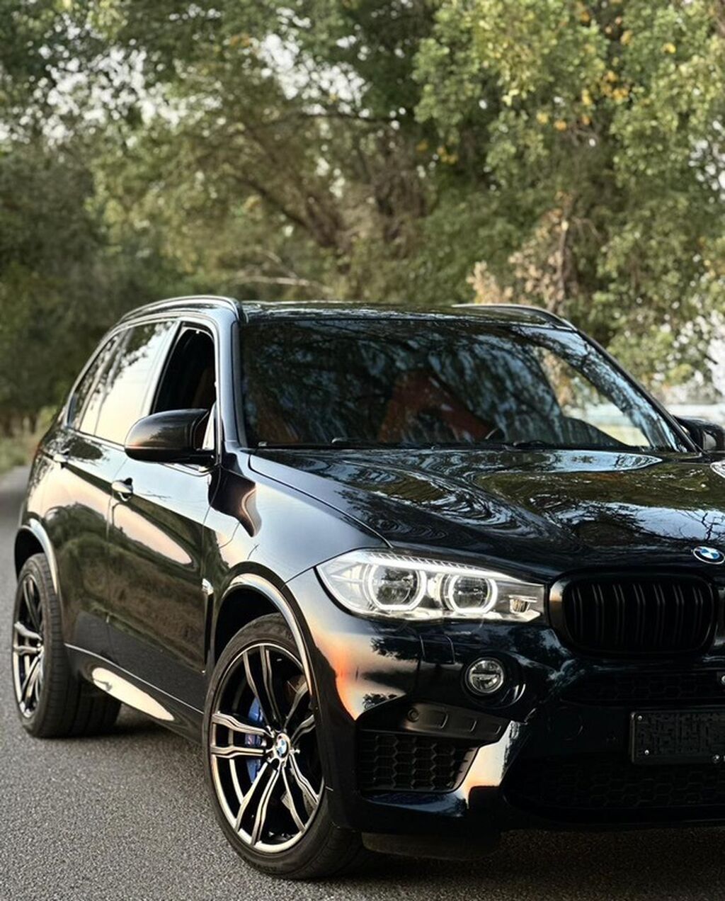 BMW X5 M: 2017 г., 4.4 л, Автомат, Бензин, Внедорожник: фото 3