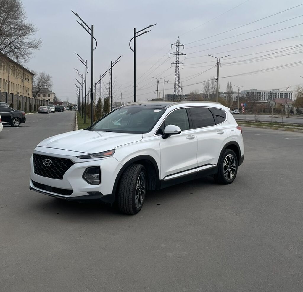 Hyundai Santa Fe: 2019 г., 2 л, Автомат, Бензин, Кроссовер: фото 2