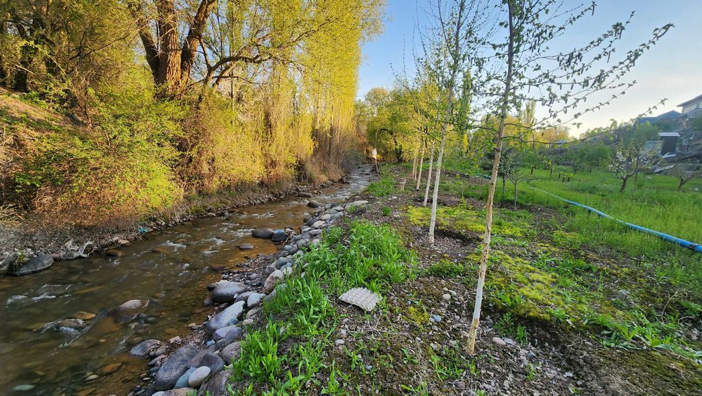 4 соток, Для строительства, Договор купли-продажи, Красная книга: фото 4