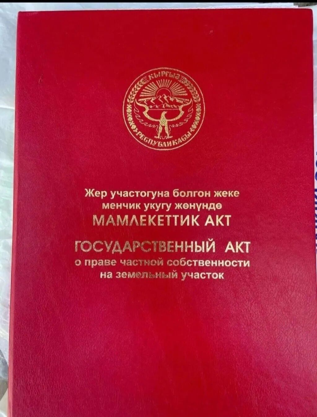 5 соток