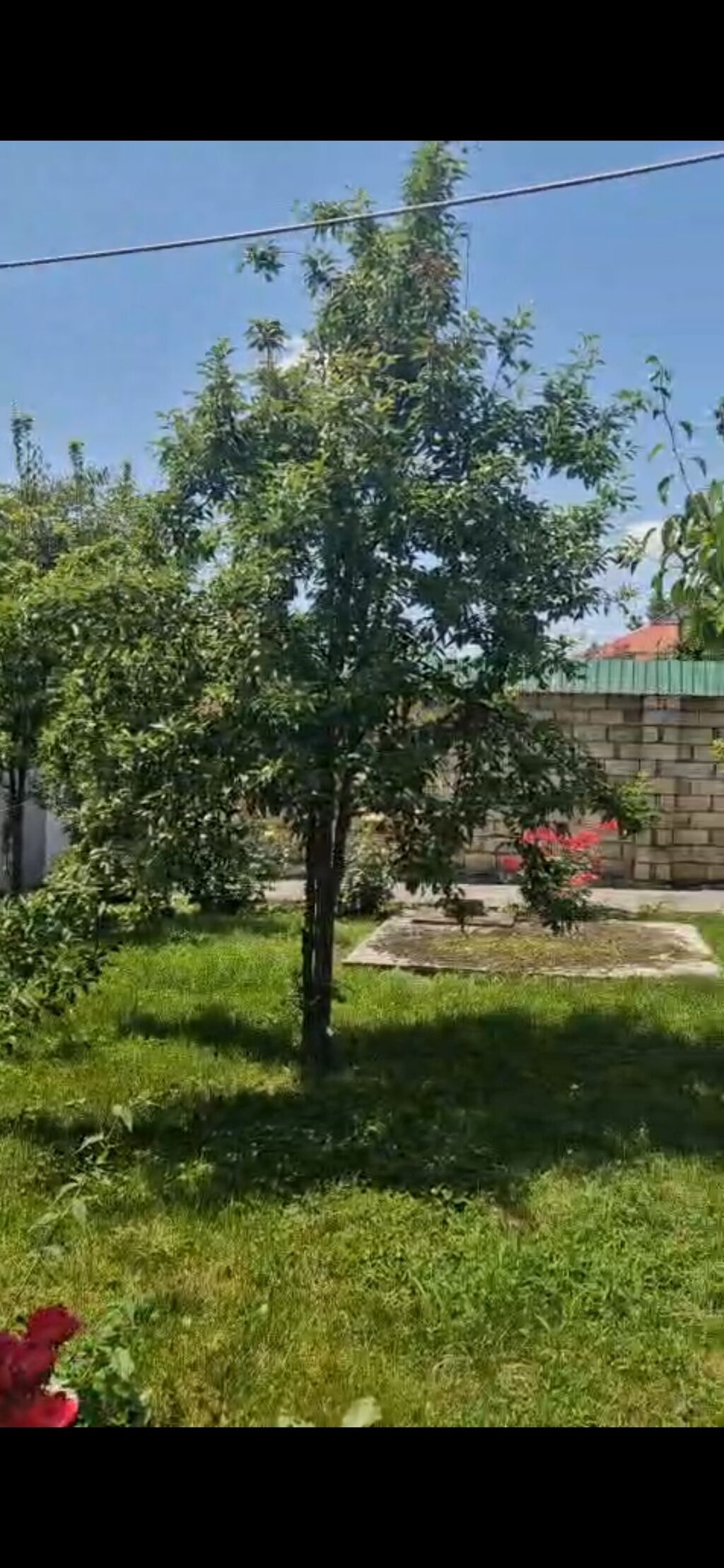 3 otaqlı, 115 kv. m, Yeni təmirli