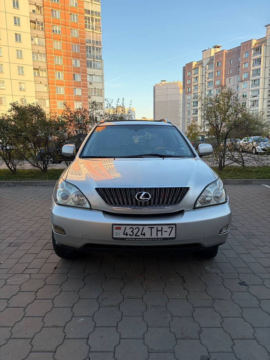 Lexus RX: 2006 г.: фото 1