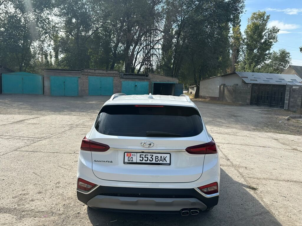 Hyundai Santa Fe: 2020 г., 2 л, Типтроник, Кроссовер: фото 4