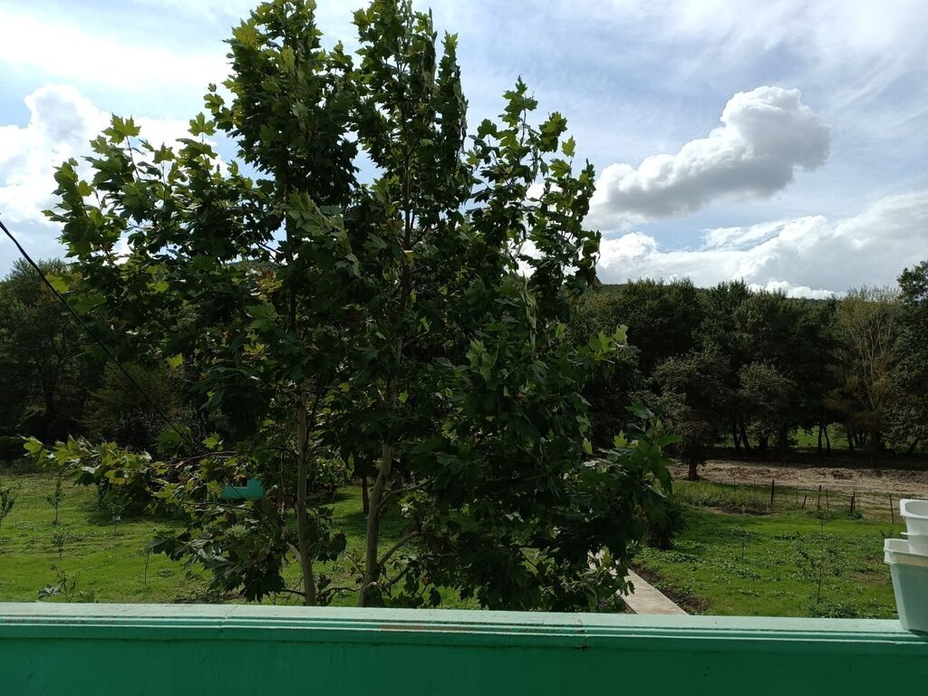 200 sot, Kənd təsərrüfatı, Mülkiyyətçi, Kupça (Çıxarış)