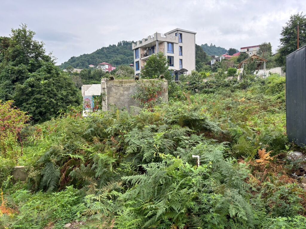 Tikinti