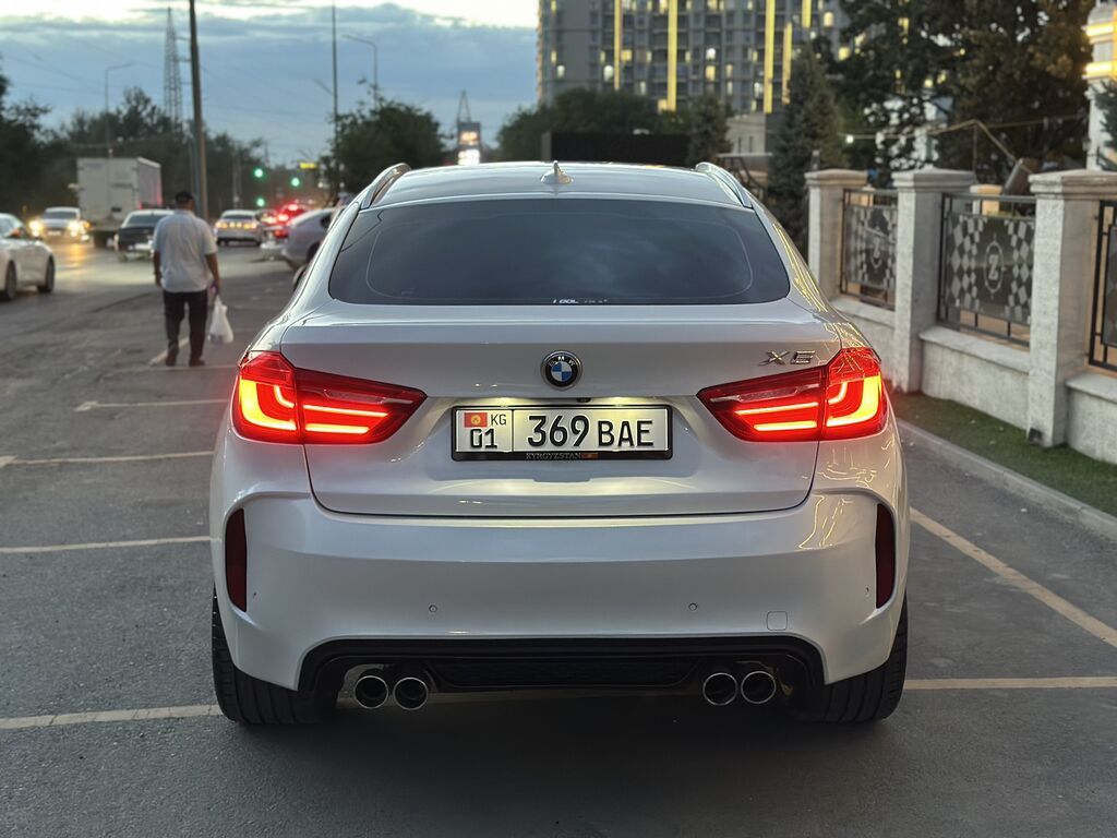 BMW X6: 2017 г., 3 л, Автомат, Дизель, Внедорожник: фото 5