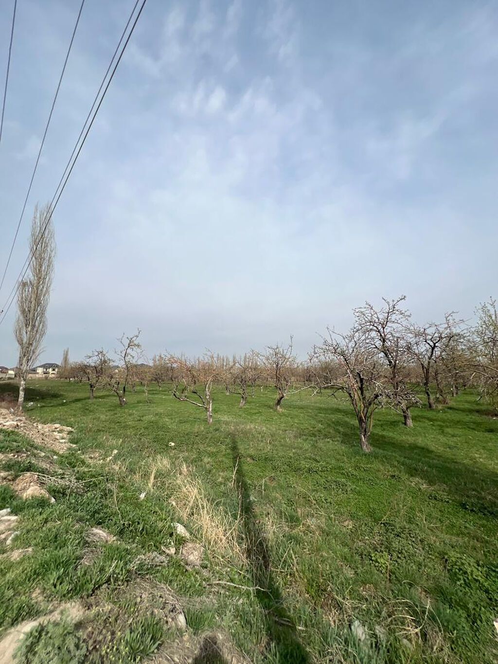 1 комната, 54 м², Кок-Жар ж/м 106 серия улучшенная, 6 этаж, ПСО (под самоотделку): фото 3