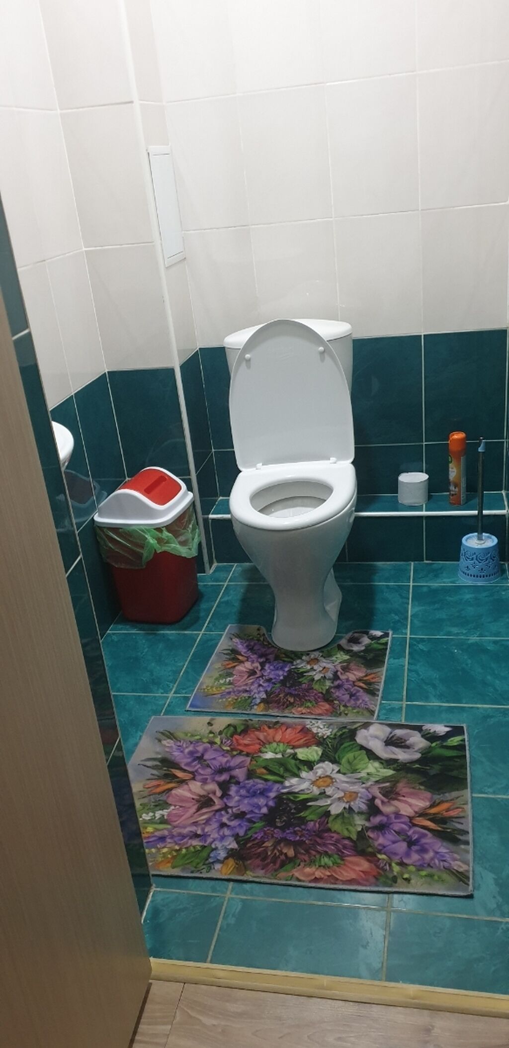 72 м², С мебелью: фото 3