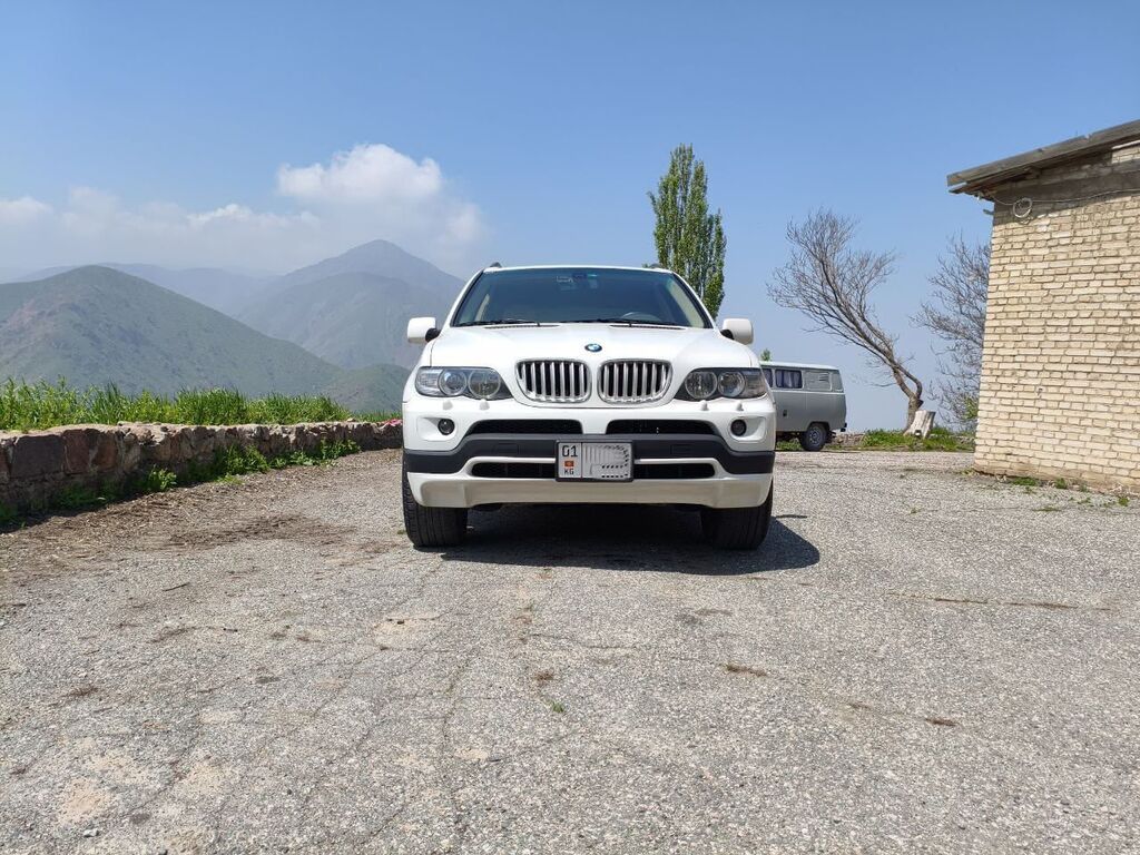 BMW X5: 2004 г., 3 л, Автомат, Бензин: фото 8
