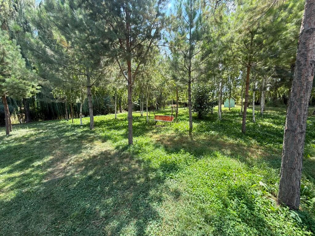 305 соток, Для бизнеса, Красная книга, Договор купли-продажи: фото 3