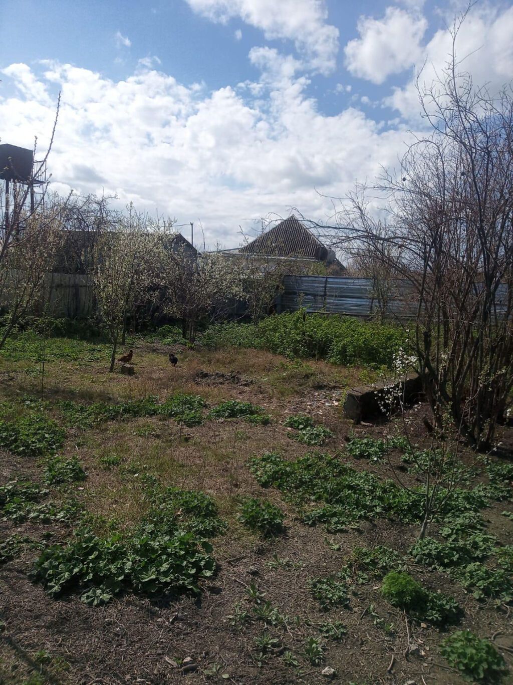 6 sot, Tikinti, Mülkiyyətçi, Kupça (Çıxarış)