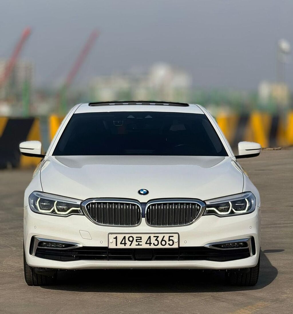 BMW 5 series: 2019 г., 2 л, Автомат, Бензин, Седан: фото 6