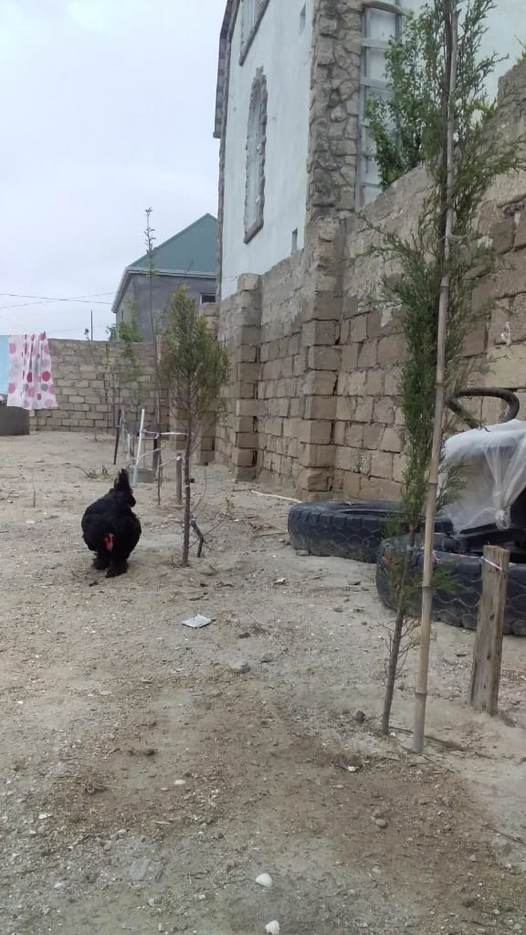 70 kv. m, 2 otaqlı