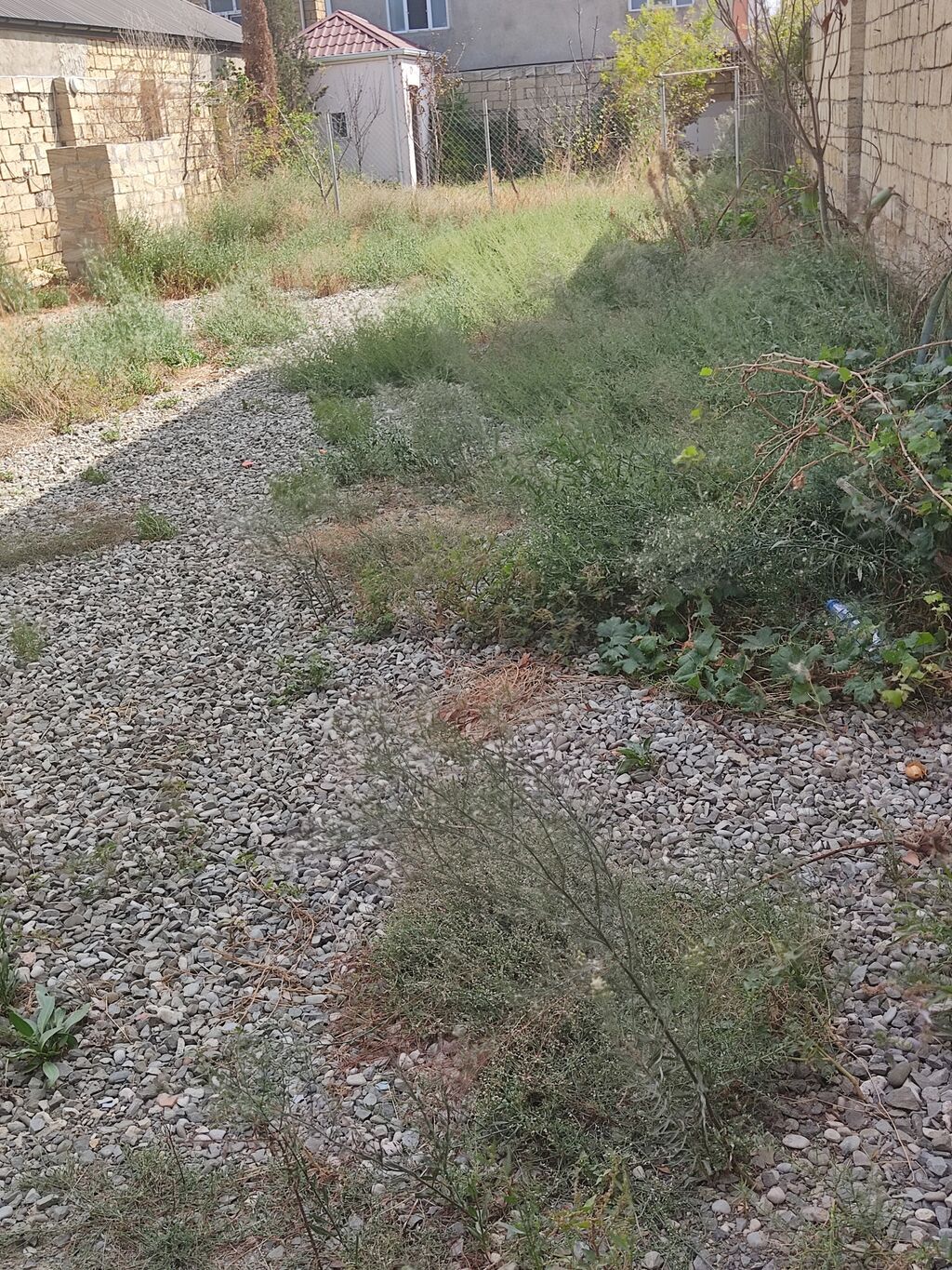 Tikinti, Kupça (Çıxarış)