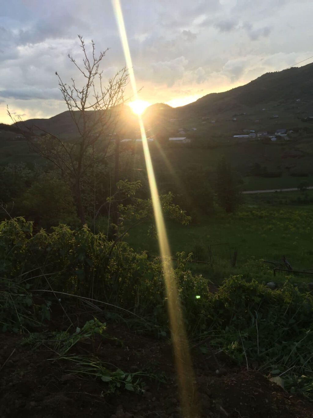 10 sot, Tikinti, Mülkiyyətçi, Kupça (Çıxarış)